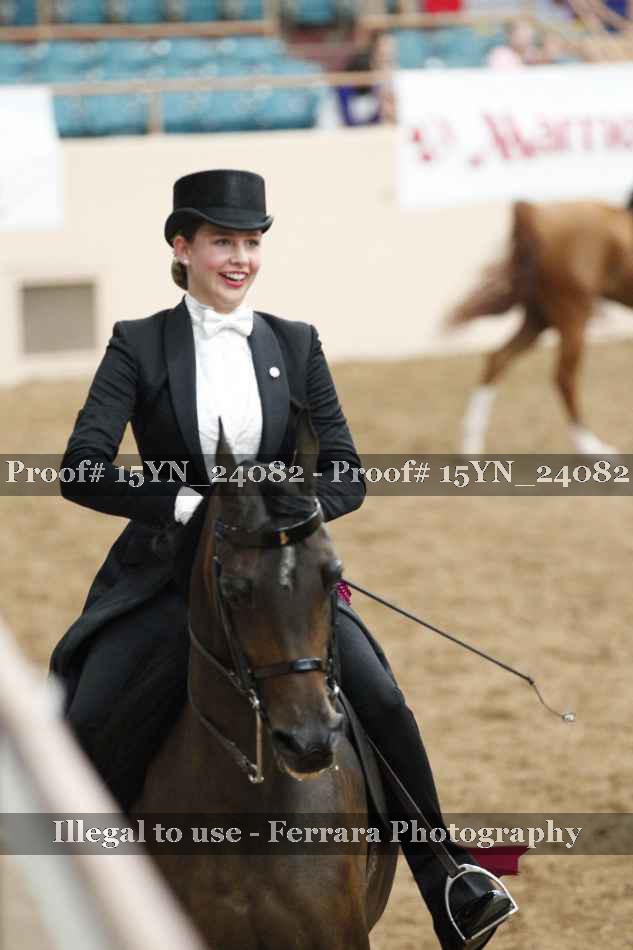 Proof 15YN_24082
