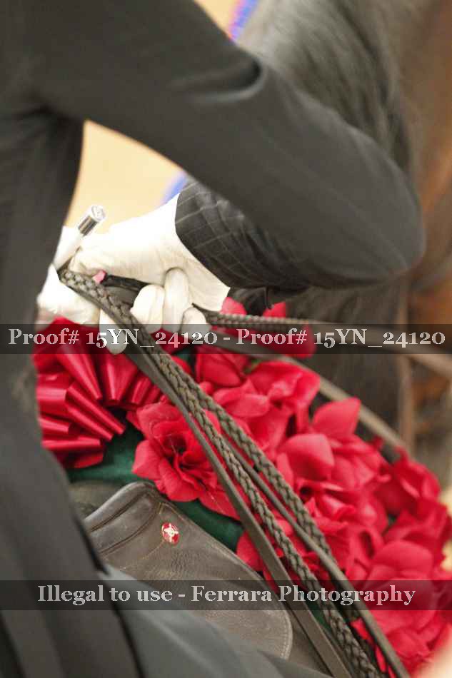 Proof 15YN_24120