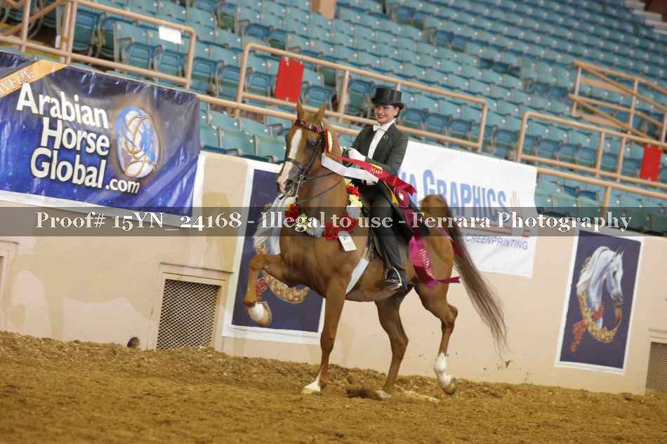 Proof 15YN_24168