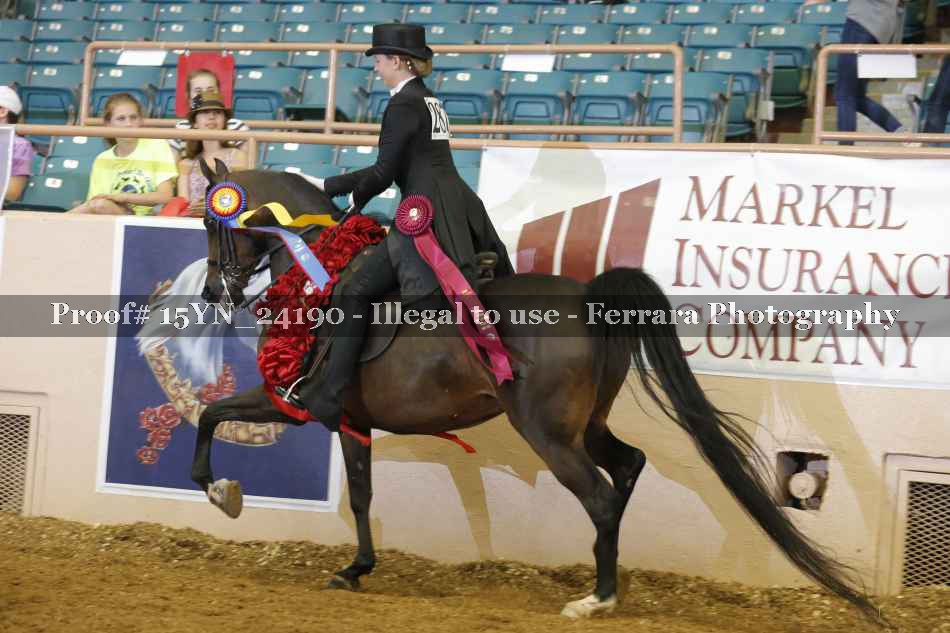 Proof 15YN_24190