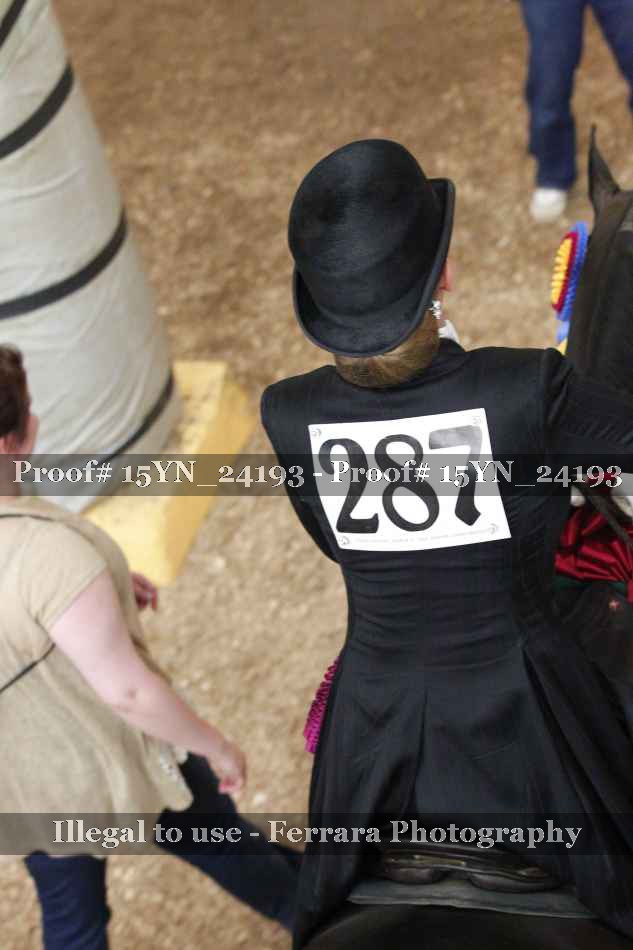Proof 15YN_24193