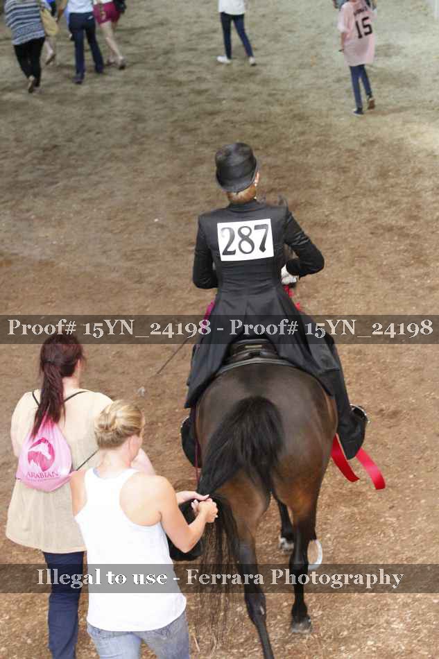 Proof 15YN_24198