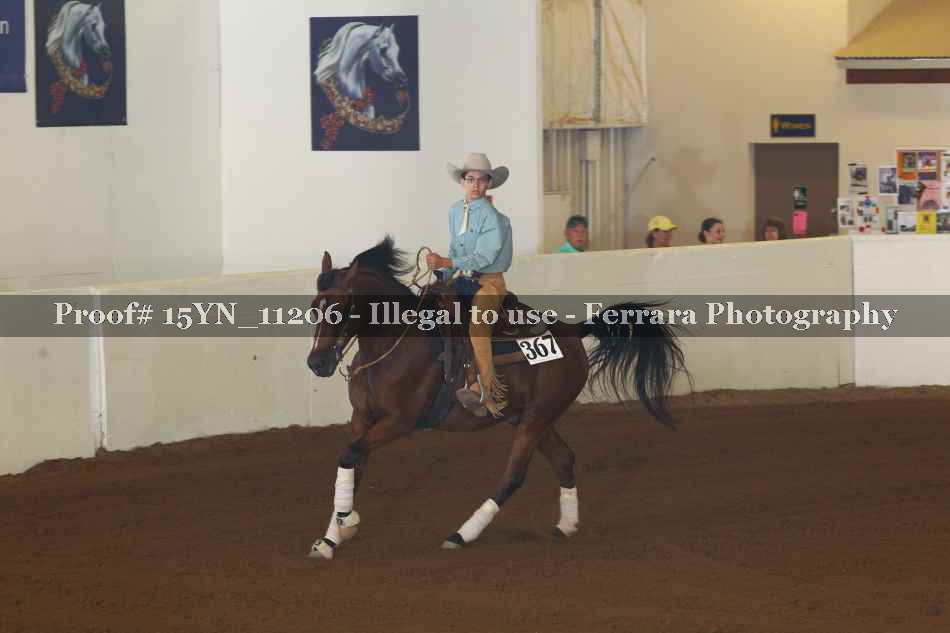 Proof 15YN_11206