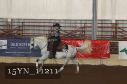 15YN_11211 proof