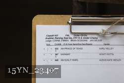15YN_23407 proof