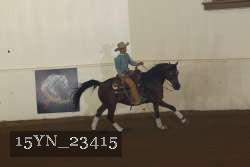 15YN_23415 proof