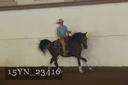 15YN_23416 proof
