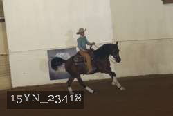 15YN_23418 proof