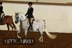 15YN_15931 proof