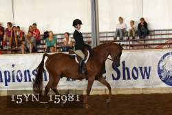 15YN_15981 proof