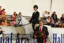 15YN_16003 proof