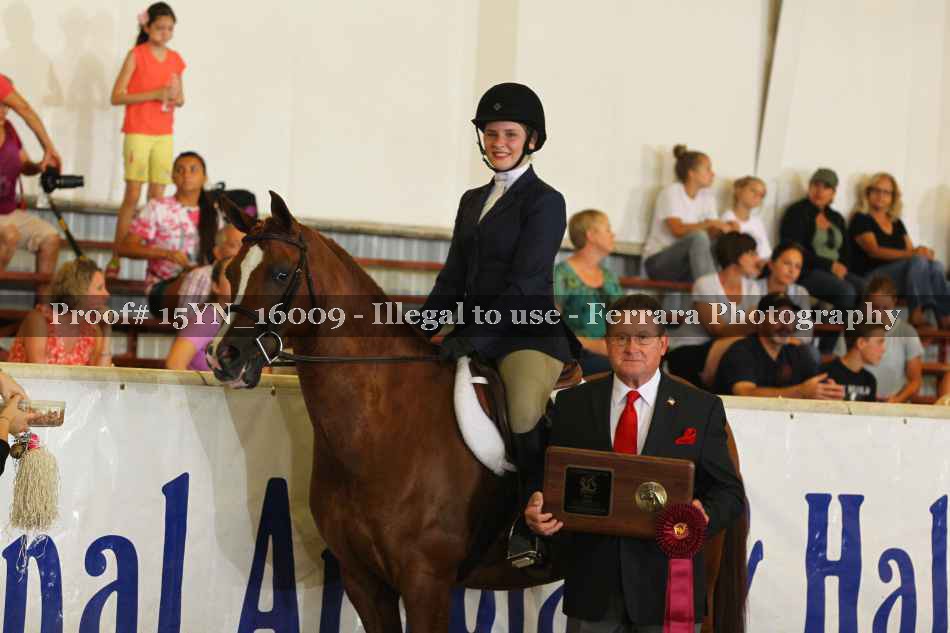 Proof 15YN_16009