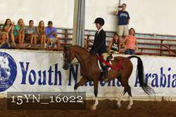 15YN_16022 proof