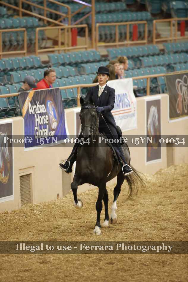 Proof 15YN_01054