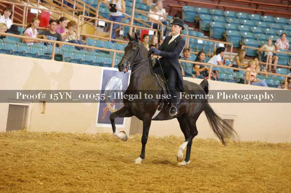 Proof 15YN_01055