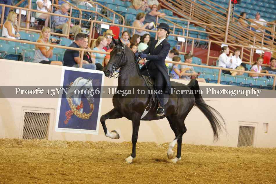 Proof 15YN_01056