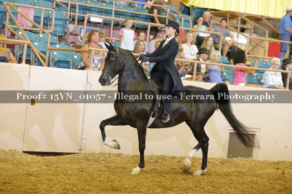 Proof 15YN_01057