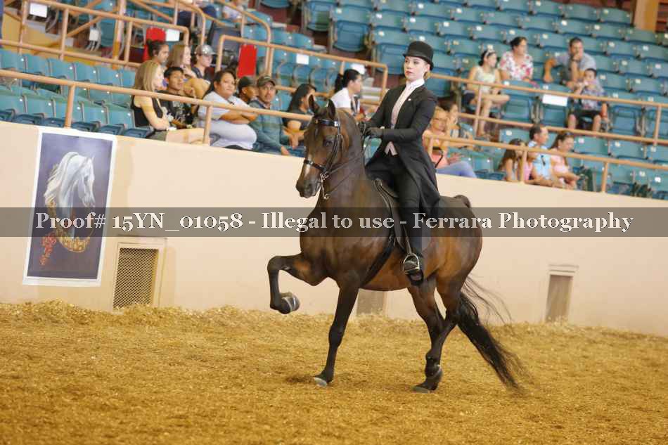 Proof 15YN_01058