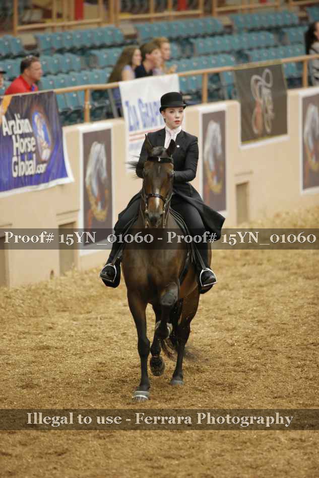 Proof 15YN_01060