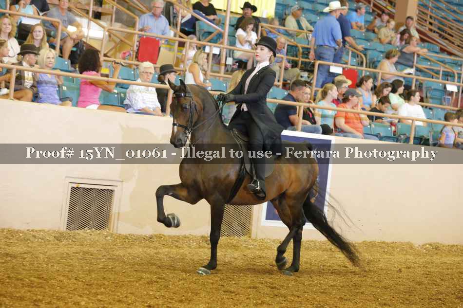 Proof 15YN_01061