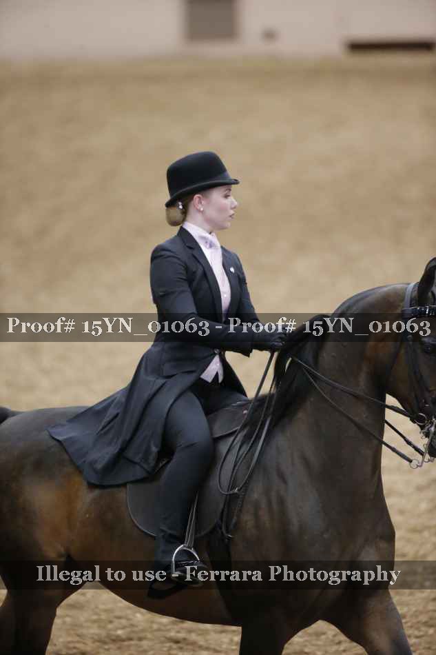 Proof 15YN_01063