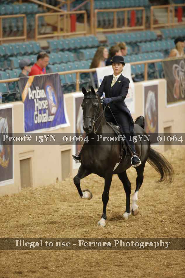 Proof 15YN_01064