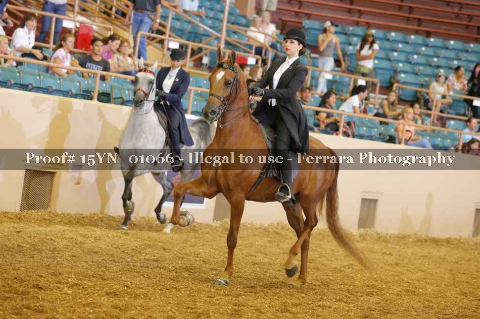 Proof 15YN_01066