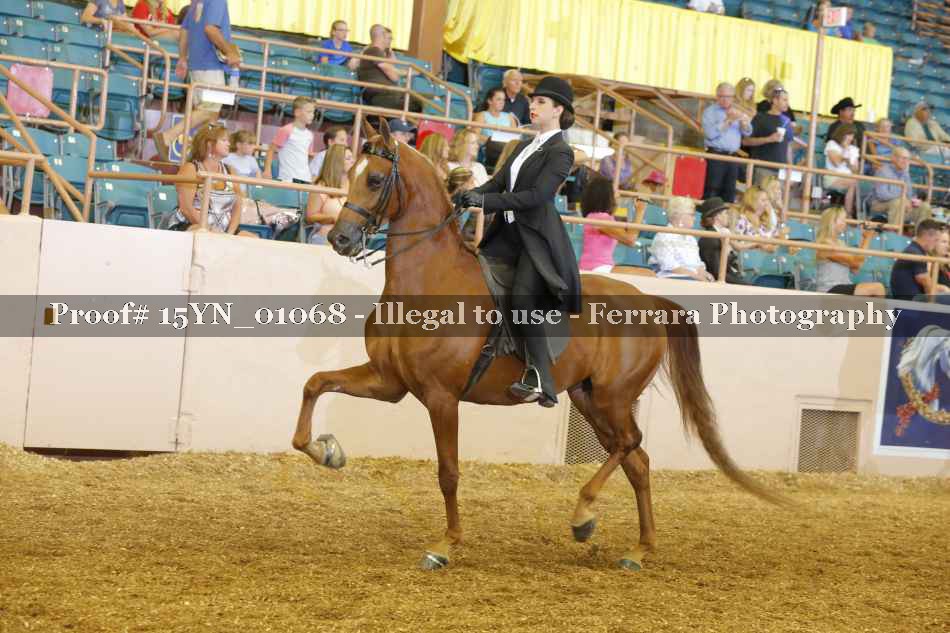 Proof 15YN_01068