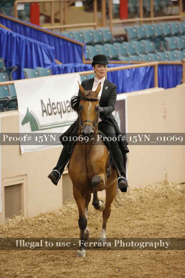 Proof 15YN_01069