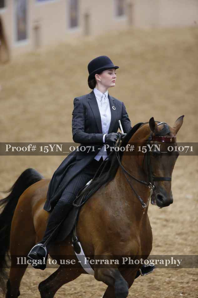 Proof 15YN_01071
