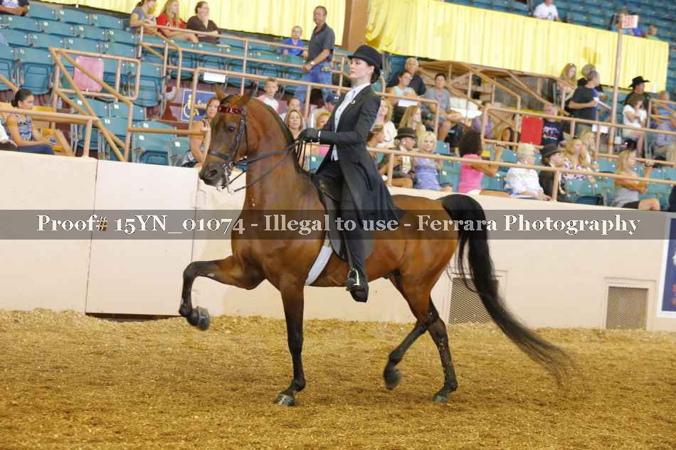 Proof 15YN_01074
