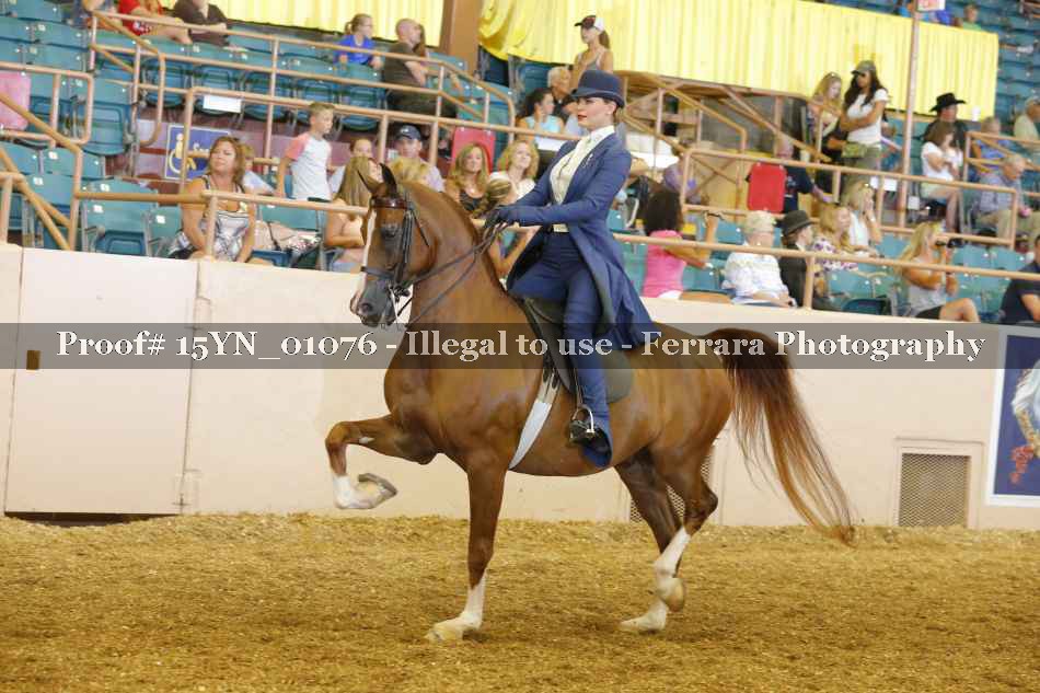 Proof 15YN_01076