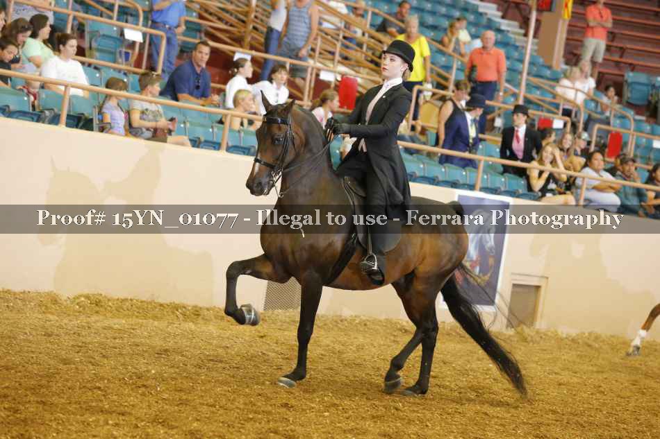 Proof 15YN_01077