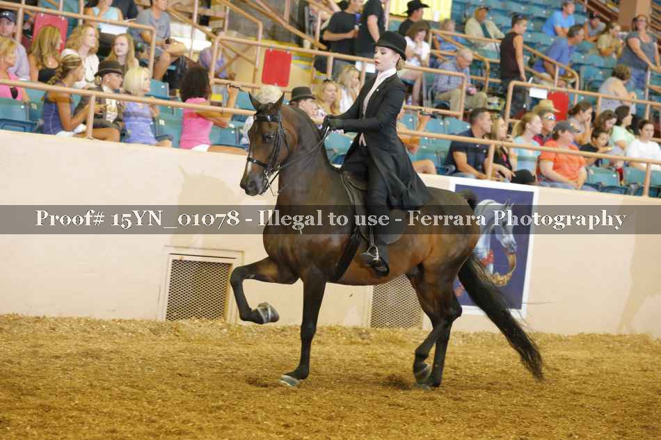 Proof 15YN_01078