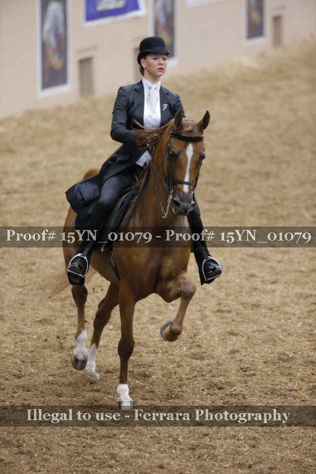 Proof 15YN_01079