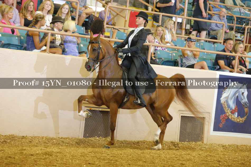 Proof 15YN_01080