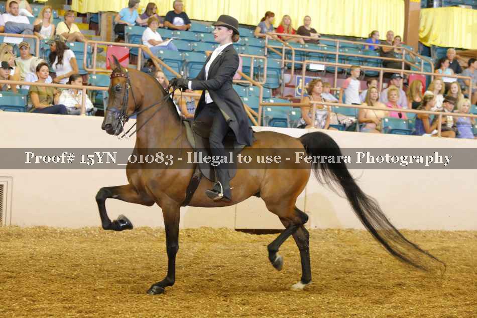 Proof 15YN_01083