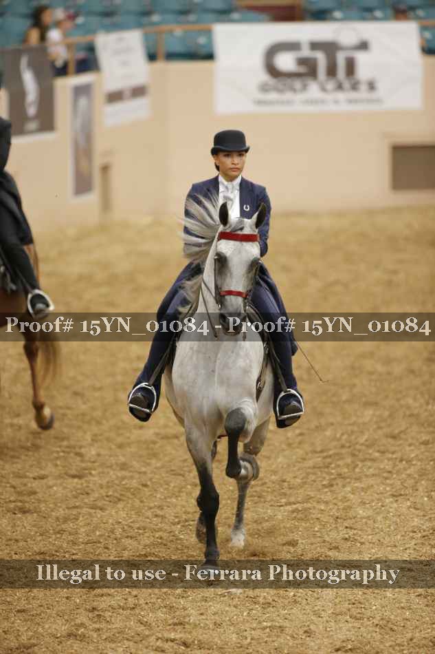 Proof 15YN_01084