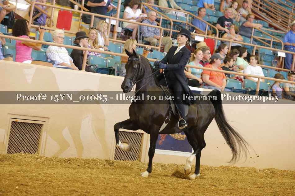 Proof 15YN_01085