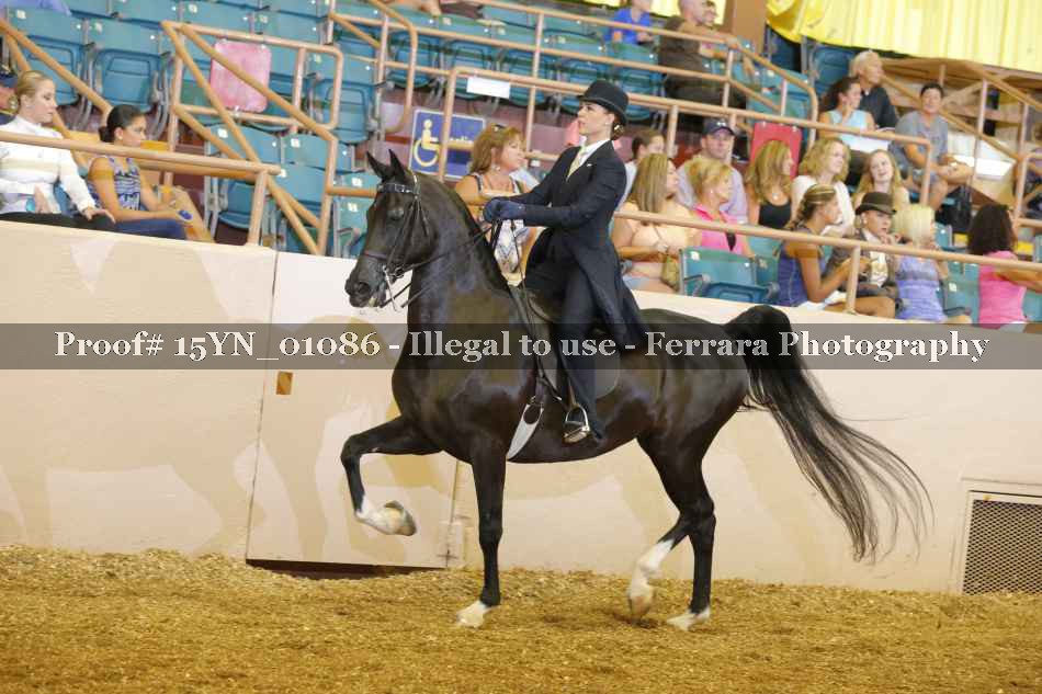 Proof 15YN_01086
