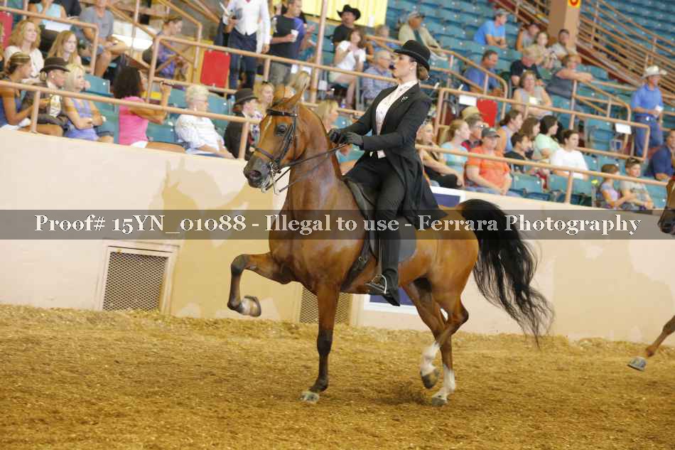 Proof 15YN_01088