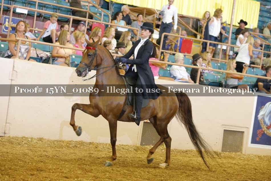 Proof 15YN_01089