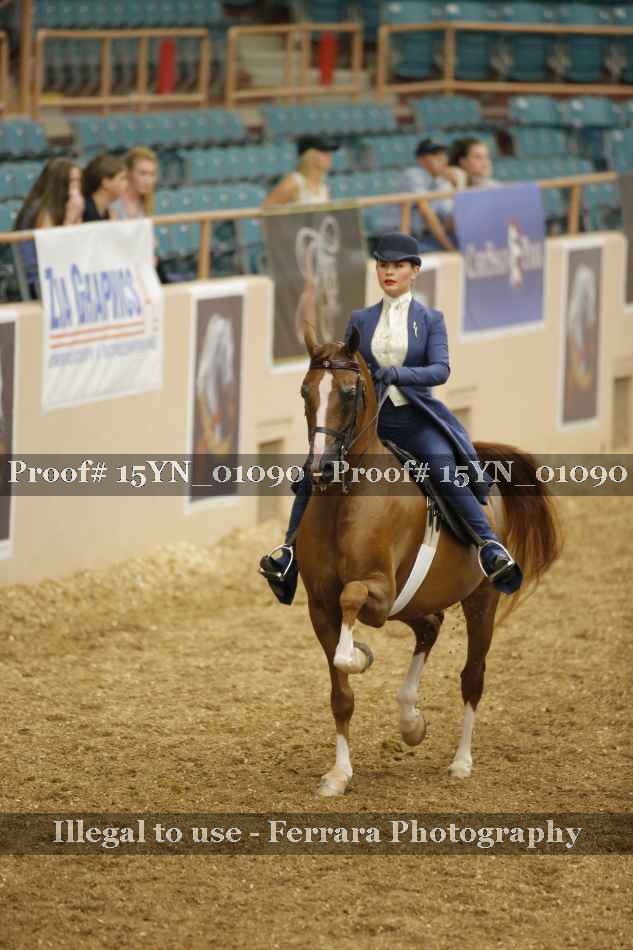 Proof 15YN_01090