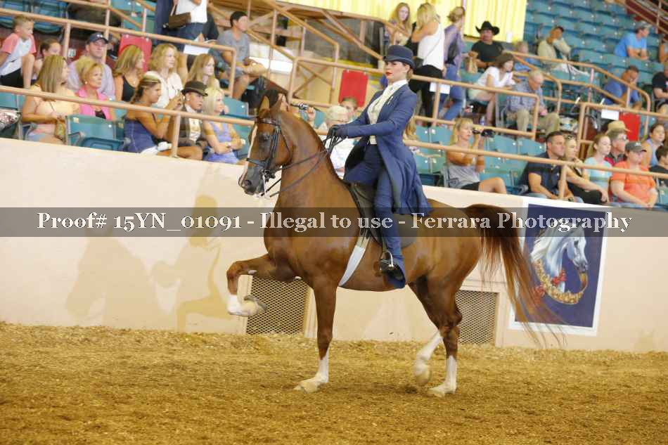 Proof 15YN_01091