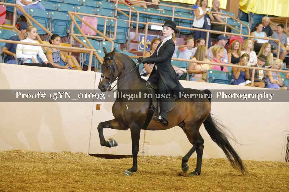 Proof 15YN_01093