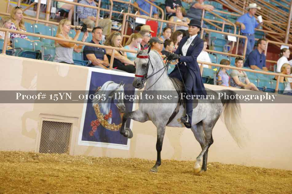 Proof 15YN_01095