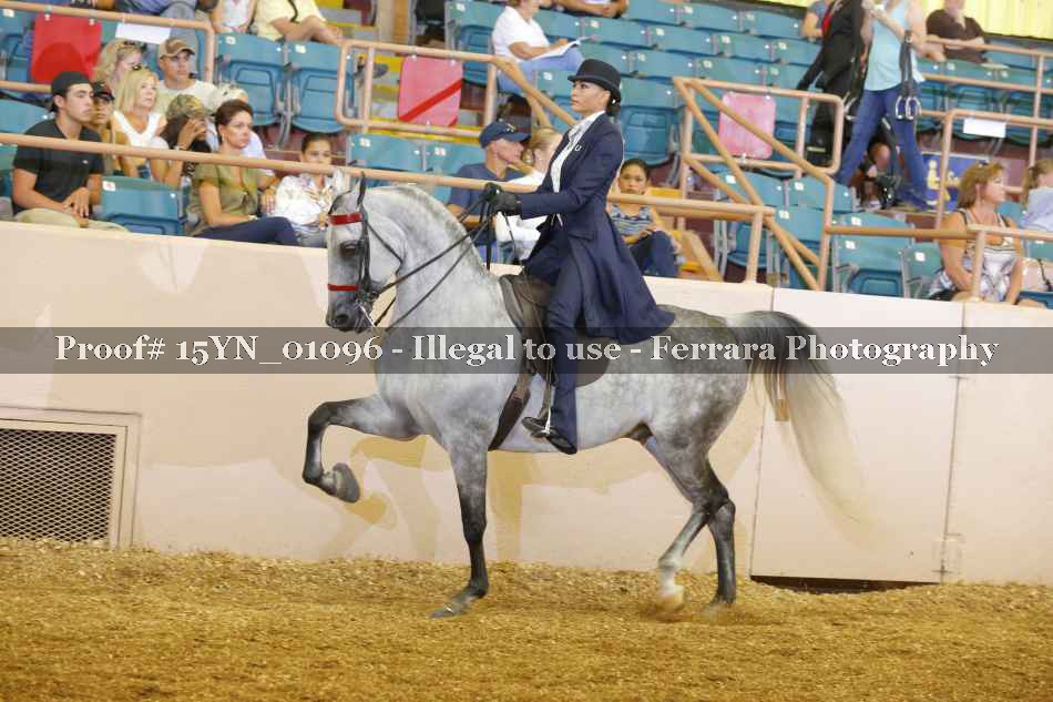 Proof 15YN_01096