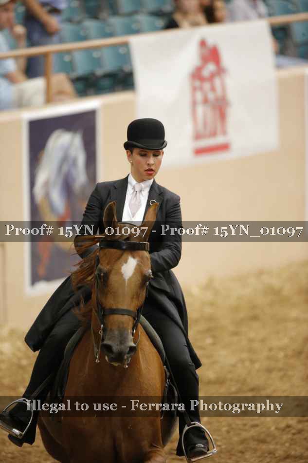 Proof 15YN_01097