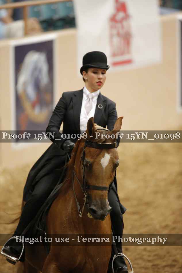 Proof 15YN_01098