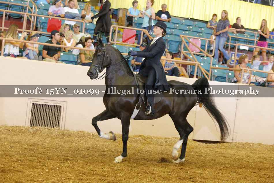 Proof 15YN_01099